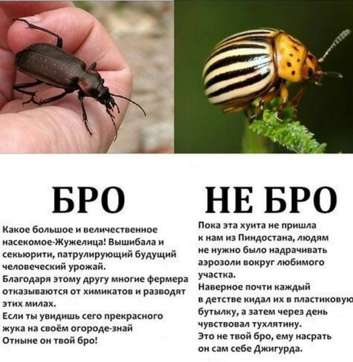    , , , ,  