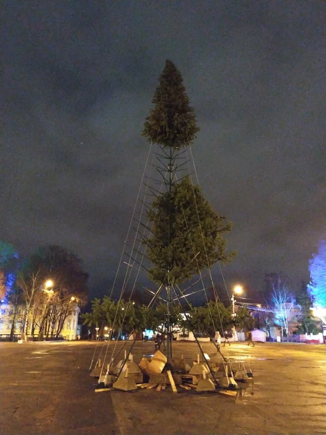 New Year, Vologda - New Year, Christmas trees, Vologda