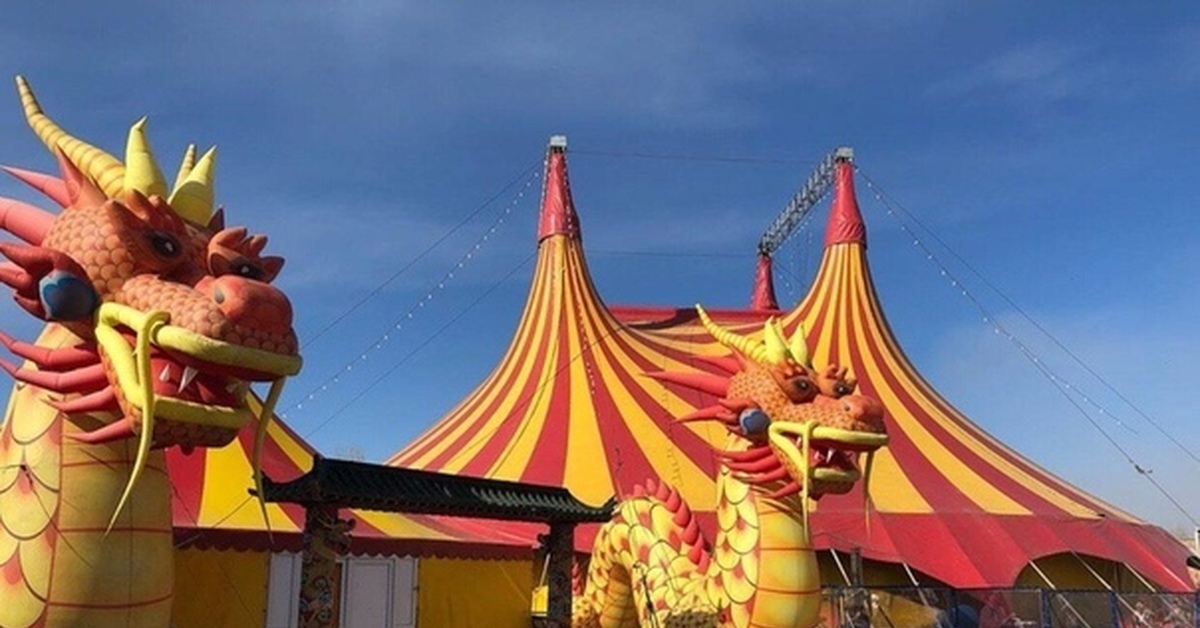 Цирк шапито новосибирск. Цирк золотой дракон уфа. Цирк золотой дракон томск. Цирк шапито колесо смелости. Цирк шапито золотой дракон тверь.