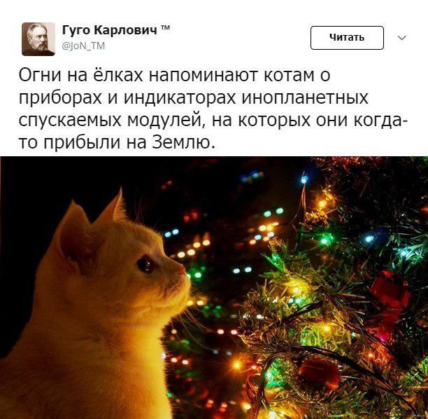    ,  , , X (Twitter), , 