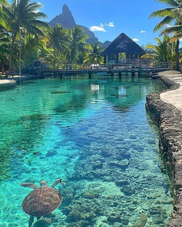 Bora Bora - Bora Bora, French Polynesia, Water, Nature, Relax