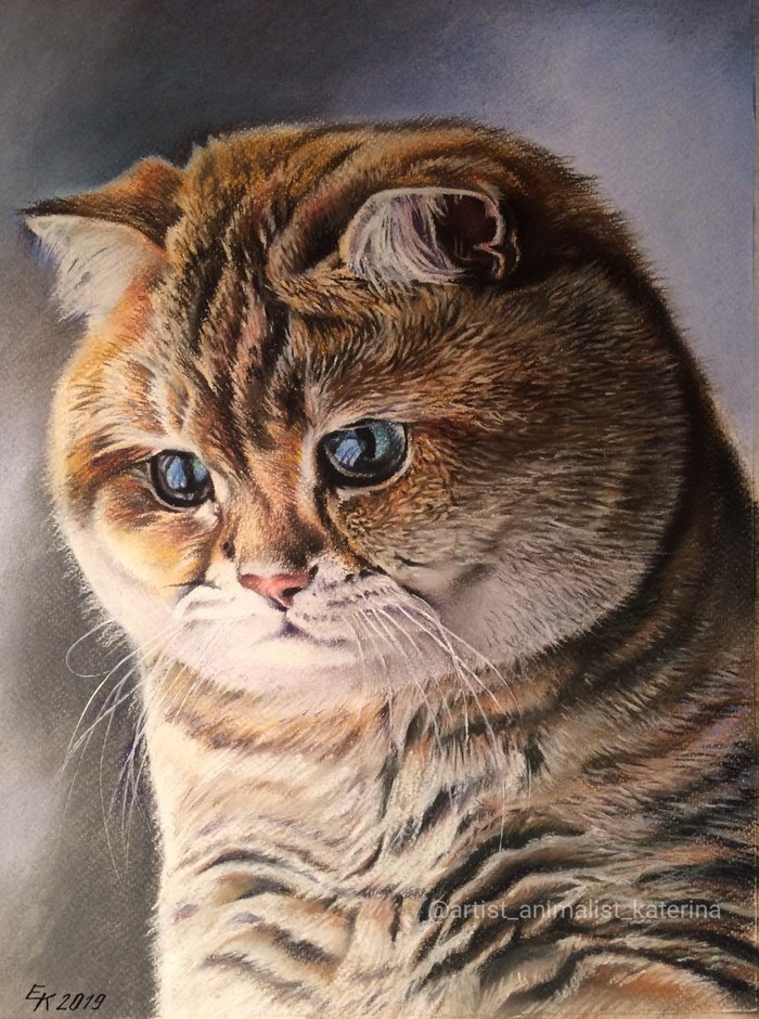 Британец. Портрет выполнен сухой пастелью