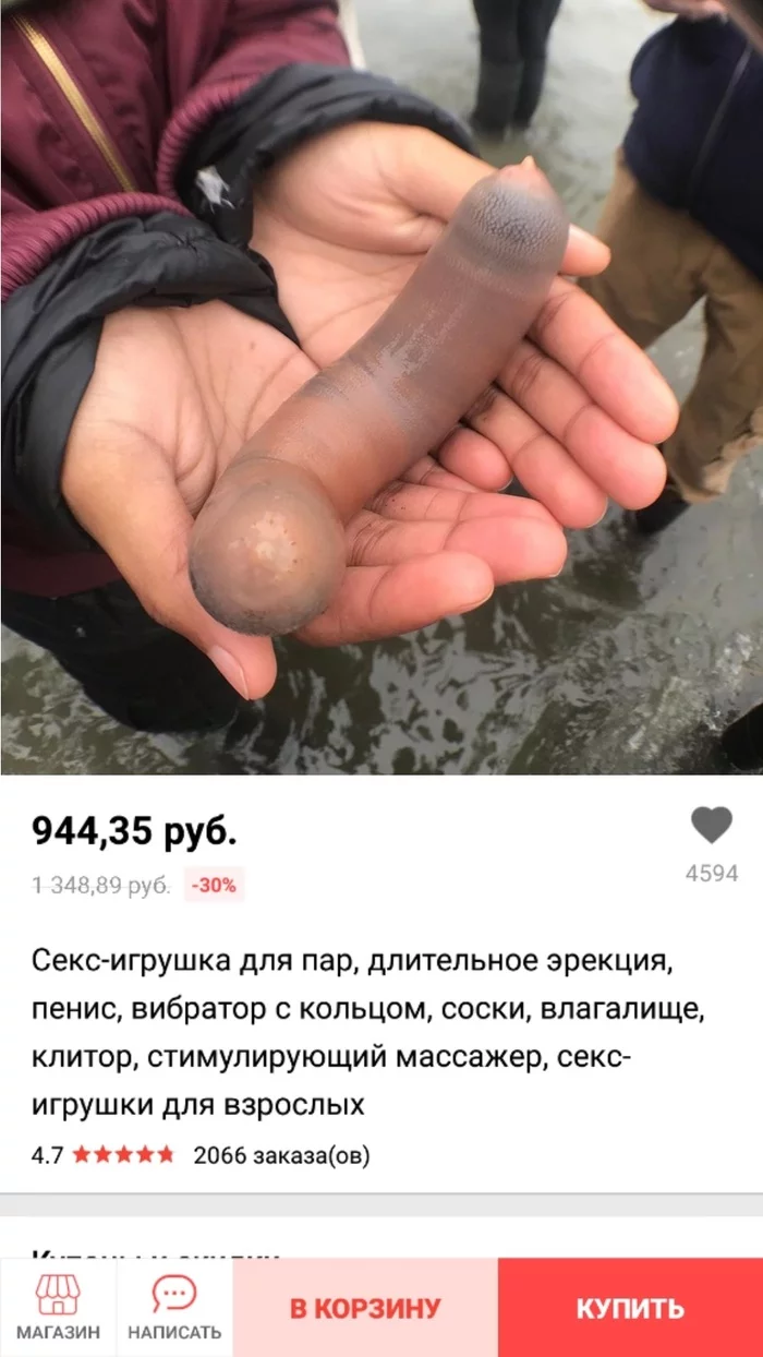 Reply to the post “Thousands of “penis fish” found on a beach in California: photo” - My, USA, California, Sea worm