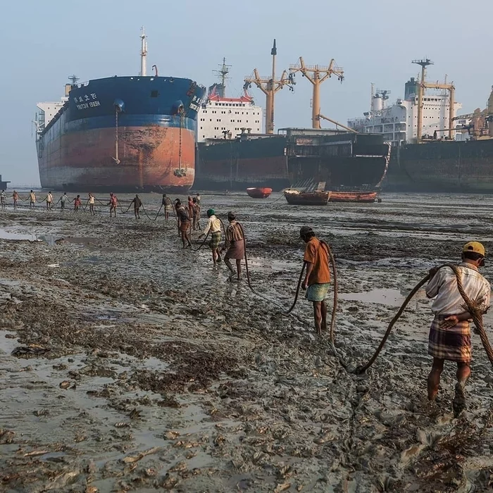 Бурлаки - Бурлаки, Море, Sealand