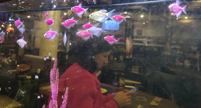 Подводный житель