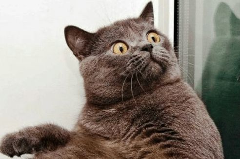 ��������� � ������, ��� �� ������