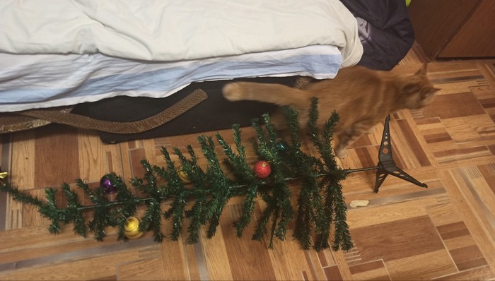 Репетитор-опасная профессия