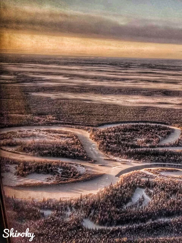 From an airplane - Winter, Russia, Forest, The photo