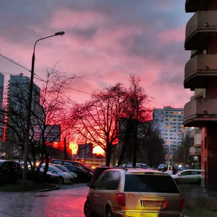 Going to work - My, Moscow, dawn, Nature