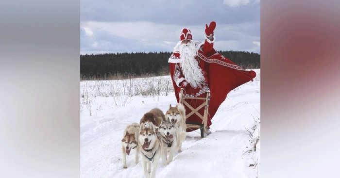 ��� �����, �������� �� ���������