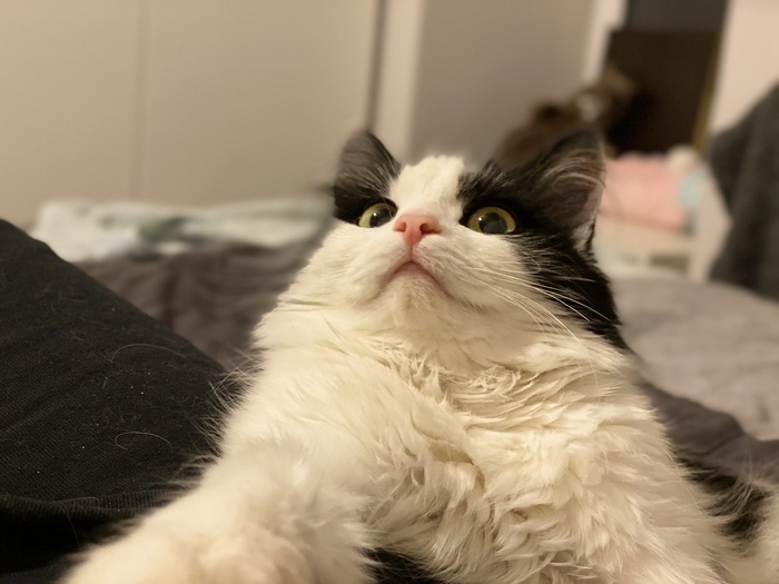  ,  , ,   ,  