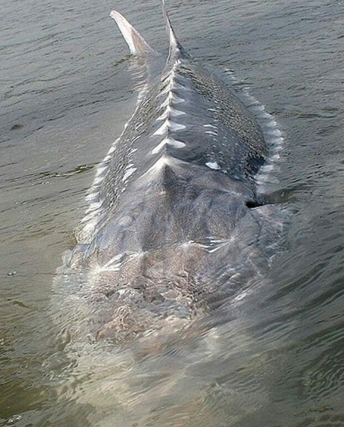 �������� ������� ������ ���������� ���� � ���� � ������ ������� � ������ ���������� ��������!