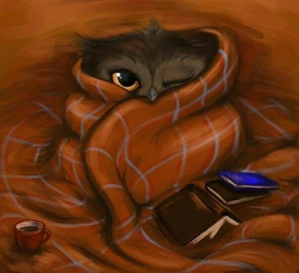 The best thing)) - Owl, Plaid, Books, Weekend