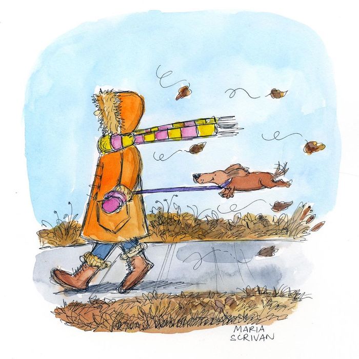 ������� ������� �������