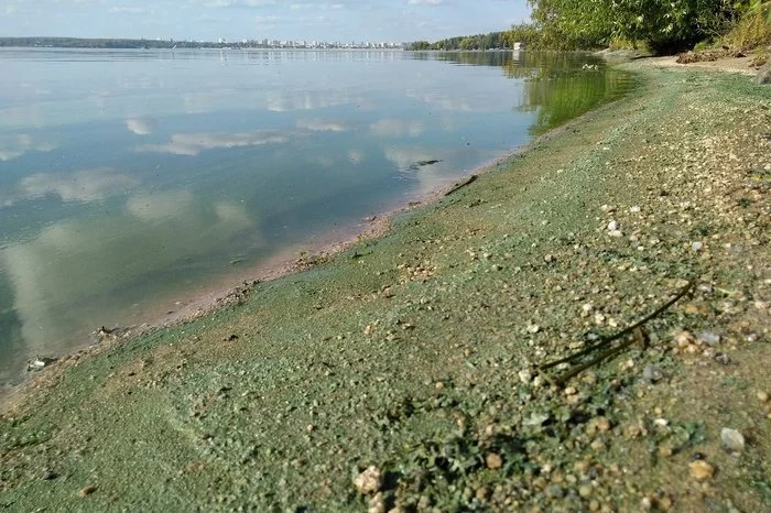 The only drinking source of Chelyabinsk is significantly polluted - Chelyabinsk, Miass, Miass River, Ecology, Chistoman, Longpost, Pollution