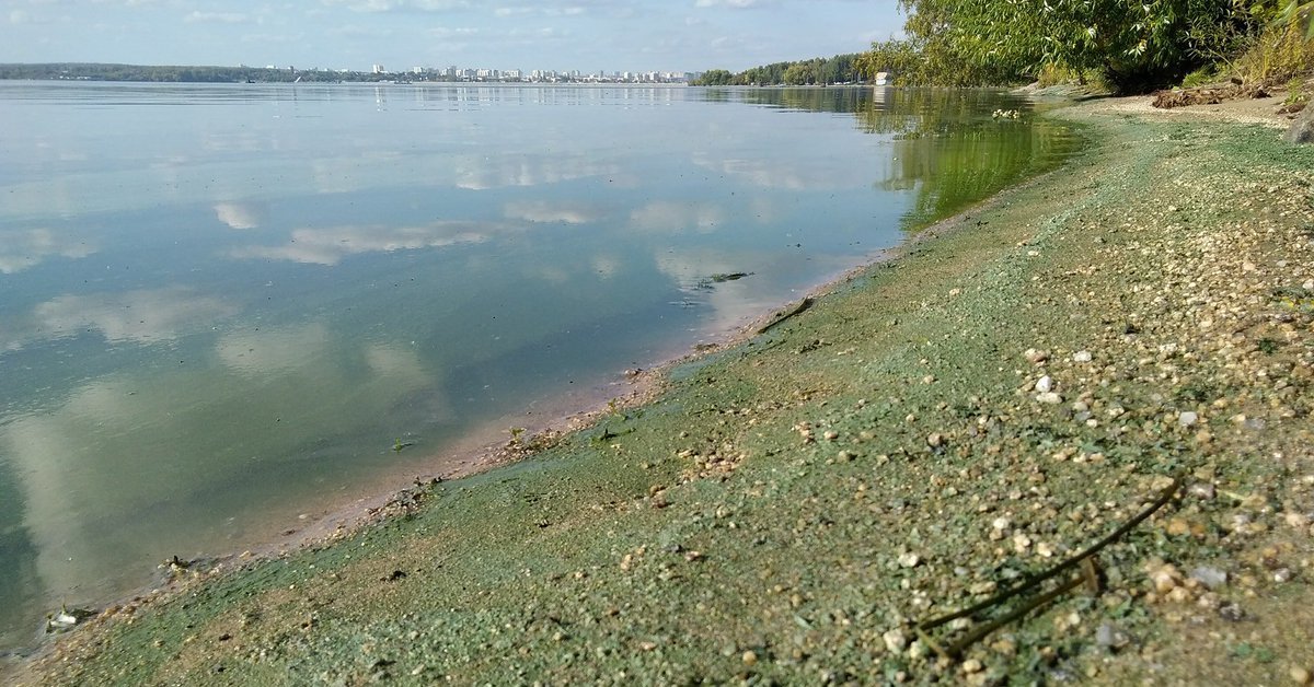 Граница пруда. Шершневское водохранилище. Челябинск водохранилище. Шершневское водохранилище вода. Грязное шершнёвское водохранилище Челябинск.