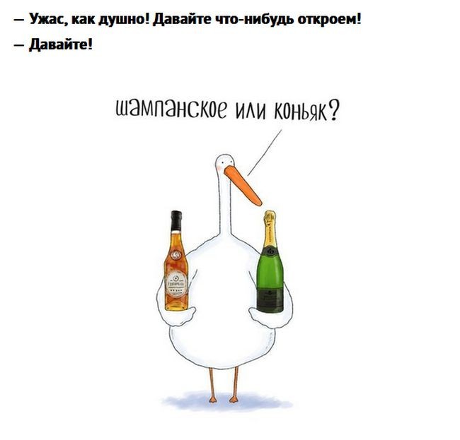 About Goose - Гусь, Friday