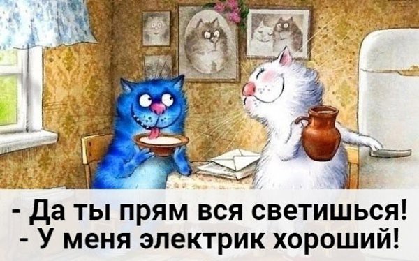 С Наступающим Вас Люди несущие нам Свет!!! - Моё, Электричество, Праздники, Кот