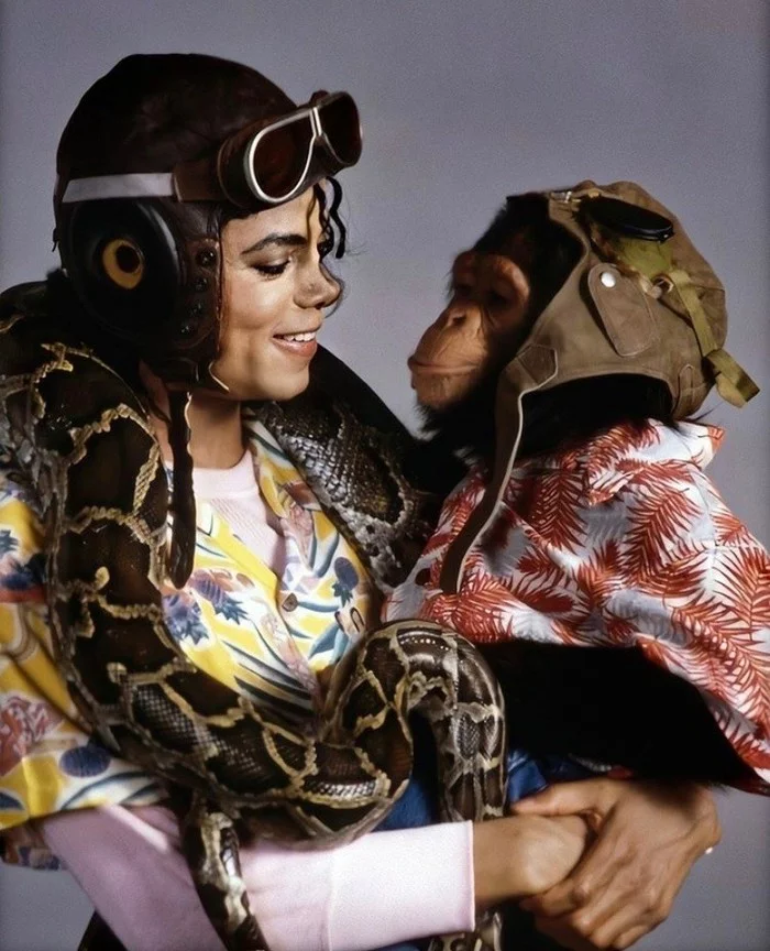 Michael Jackson (left) and his best friend the chimpanzee Bubble (right) - USA, Monkey, African American, Snake, Michael Jackson, Chimpanzee, The singers, Blacks
