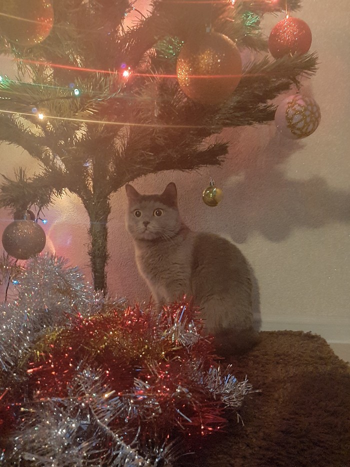 ���������� �����)