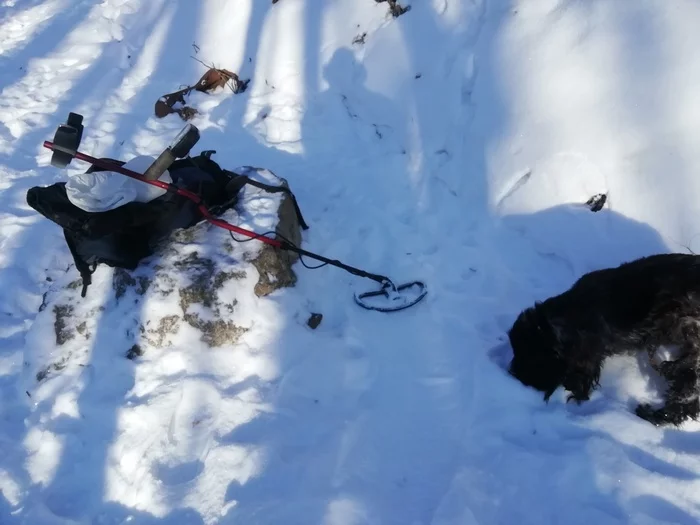 Winter outing - My, Metal detector, Primorsky Krai, Hiking, Forest, Dog, Longpost