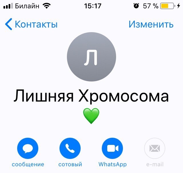 Контакт в телефонной книге | Пикабу