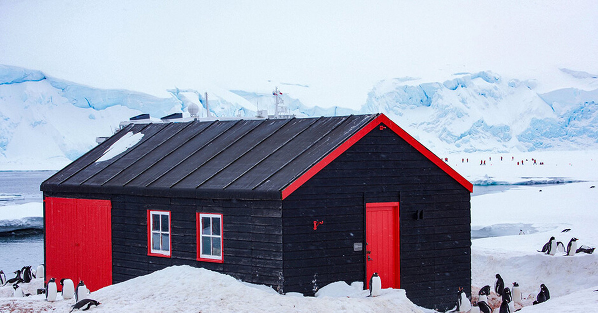 Жизнь на 2 полюса. Полярная станция Амундсен-Скотт. Станция принцесса Элизабет Антарктида. Северная Полярная станция. Поселок Скотт Антарктида.