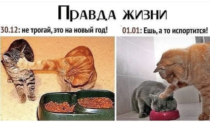 � �����������!