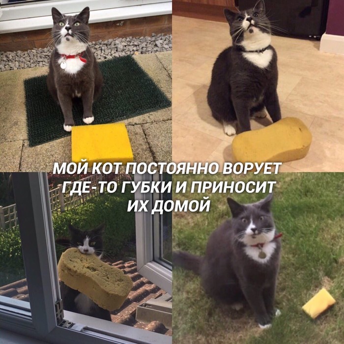 "� ���� ��� ��� ����, �������"