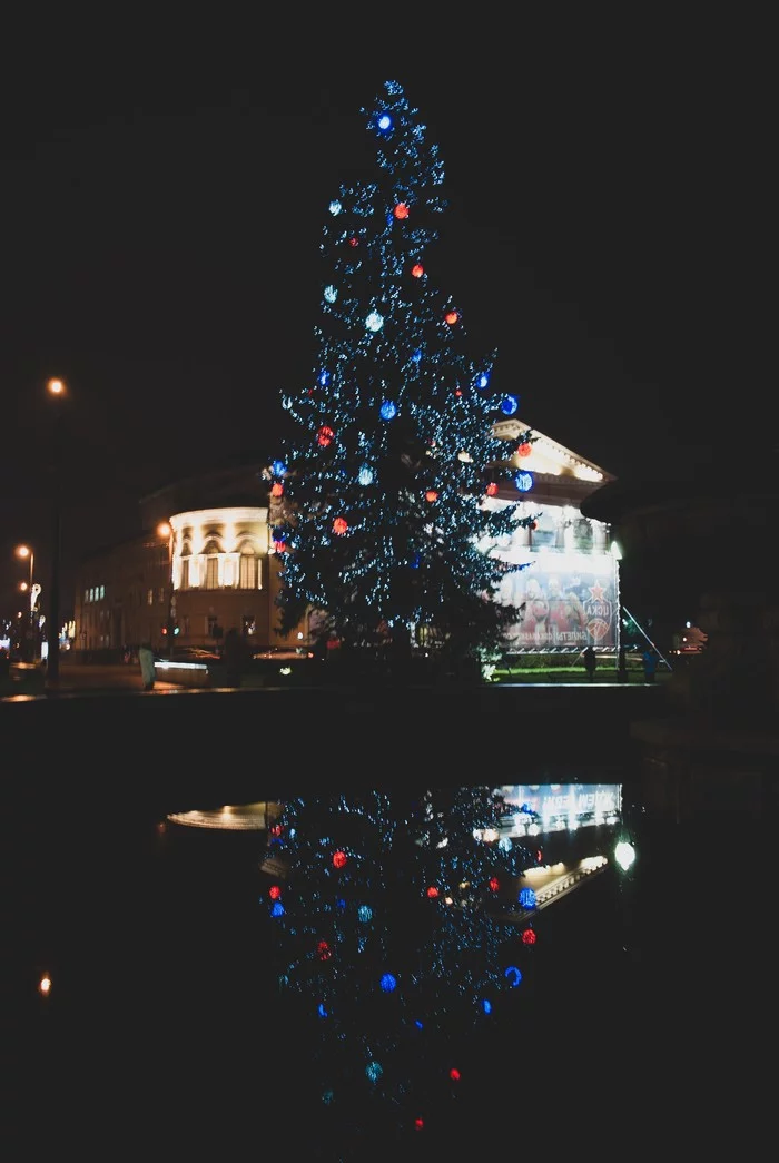 The New Year is rushing towards us - My, New Year, Tree, Christmas tree, Christmas decorations, Kaliningrad, Holidays, Longpost