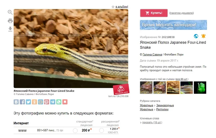 How the Novocherkassk court and Roskomnadzor protected animals - My, The photo, Red Book, Roskomnadzor, Photobank