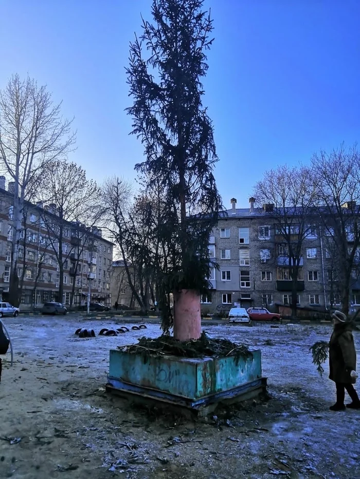 Nizhny Novgorod residents held a vote for the ugliest Christmas tree in the region - And so it will do, Christmas trees, Longpost