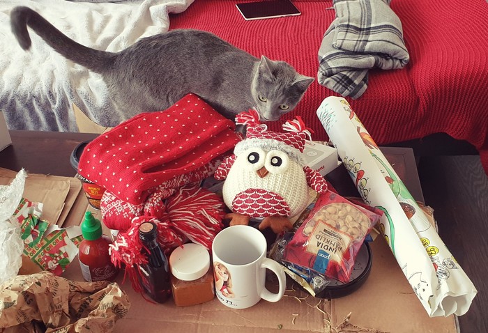 ��� 2019/2020, �����