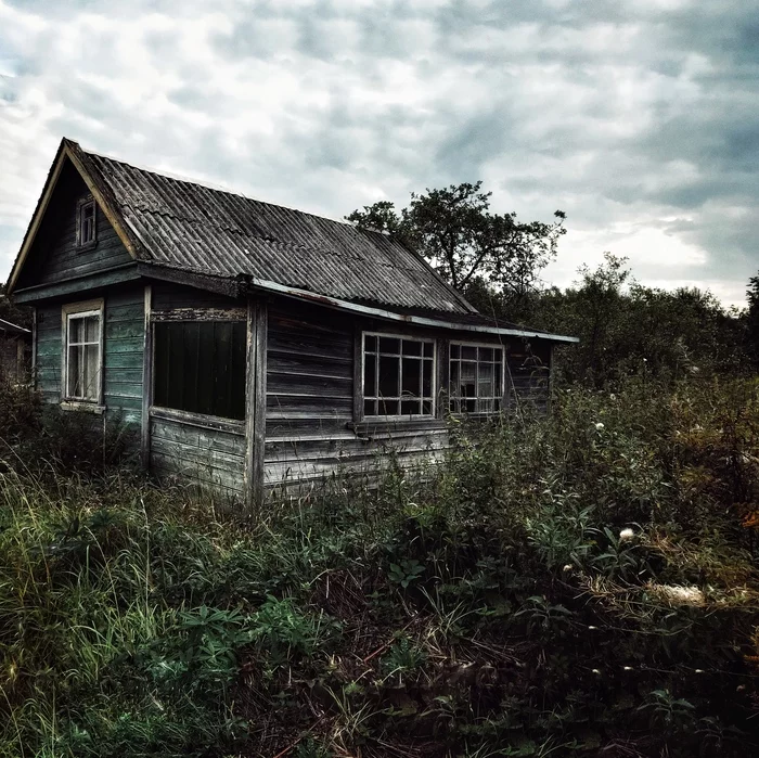 Abandoned dachas in the village of Kresttsy - My, Abandoned, Abandoned villages, Longpost