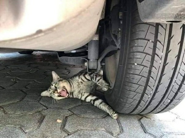  - !! , ,   