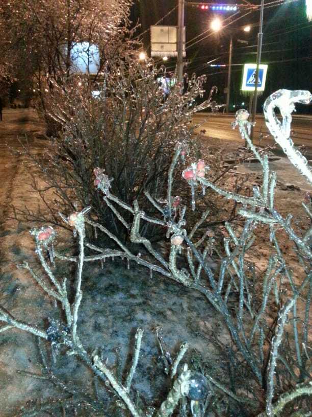 Freezing rain in Cheboksary - My, Ice, Freezing rain, Injury, Cheboksary, School, Weather, Longpost