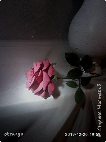 Rose - My, the Rose, Flowers, Interior, Presents, Handmade, Longpost, Polymer clay