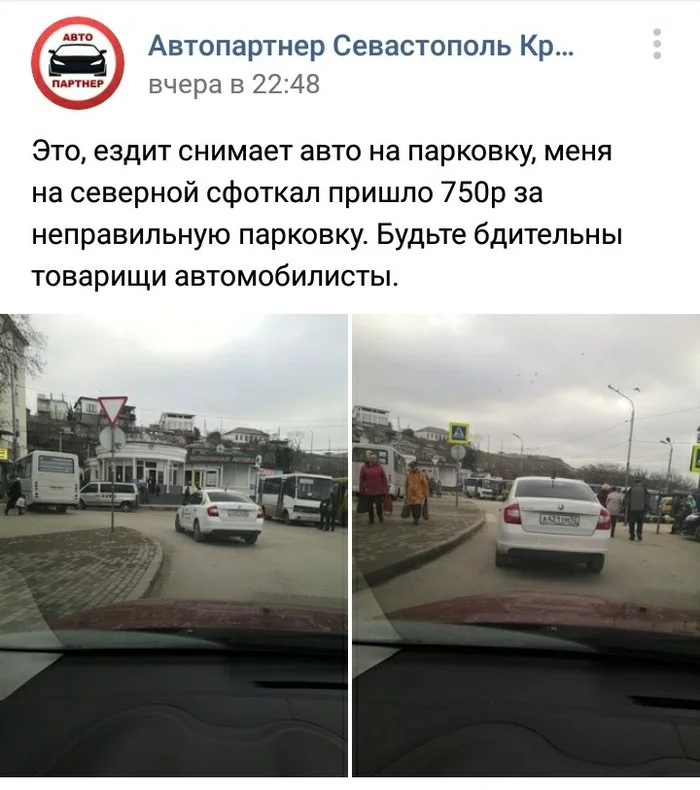 All around are rats and informers) - Cattle, Cattle on the roads, In contact with, Comments, Неправильная парковка, Sevastopol, Longpost