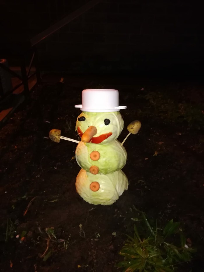 Какой снег, такой и снеговик