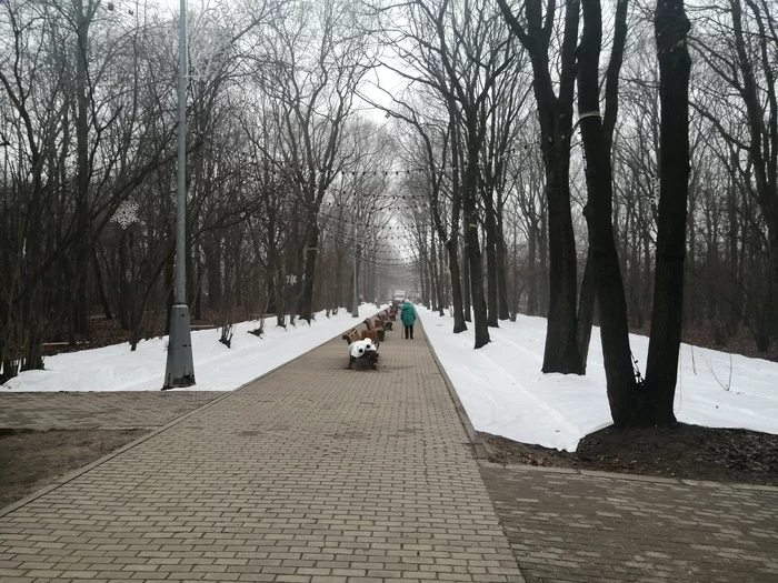 В Москве выпал снег - Моё, Снег, Погода, Благоустройство, Москва