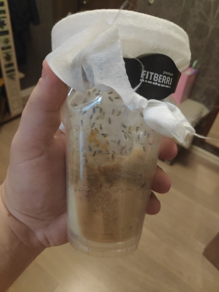 Вырастил редкую Дрозофилу хидею для муравьёв