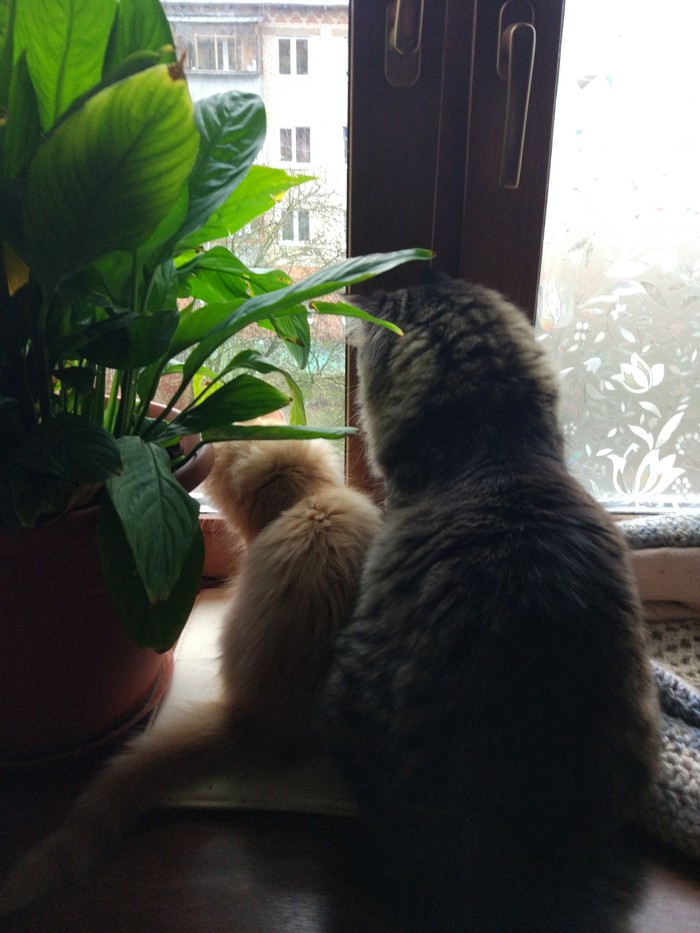 ��� ���� ����� �� ��