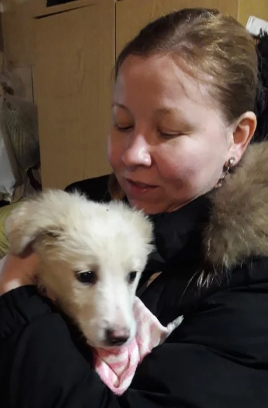 We have good news! - My, Animal shelter, In good hands, Dog, Puppies, Moscow, No rating, Longpost