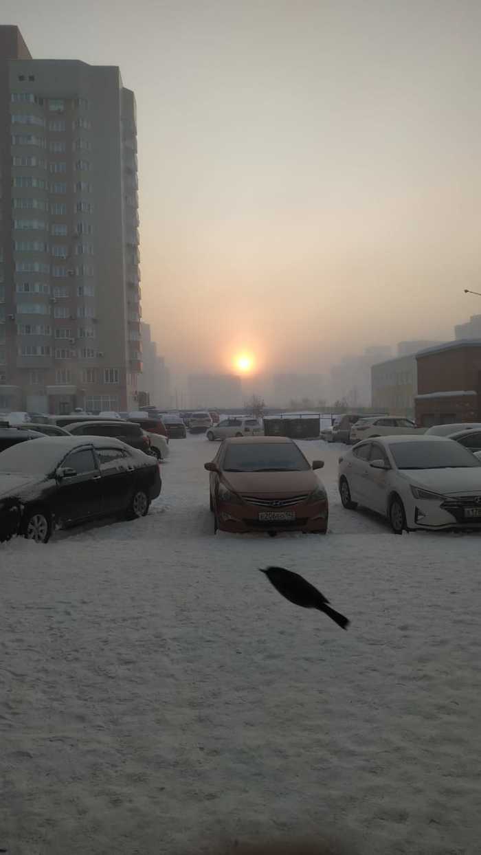 Frosts have arrived in Siberia - My, Novokuznetsk, freezing, Birds, Siberia