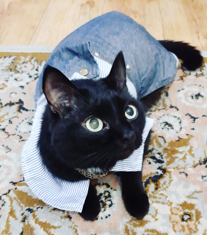 ���� ������������