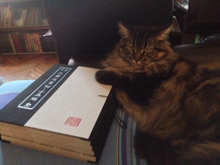 ���� �������