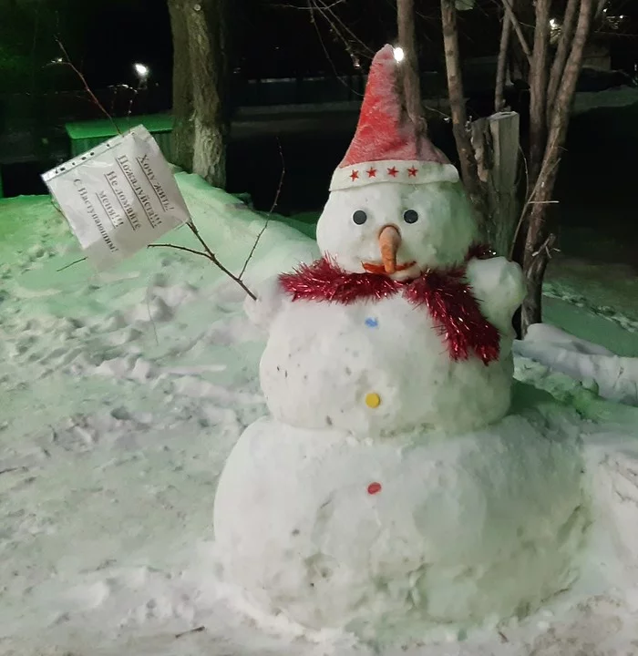 Snowmen want to live too! - snowman, New Year