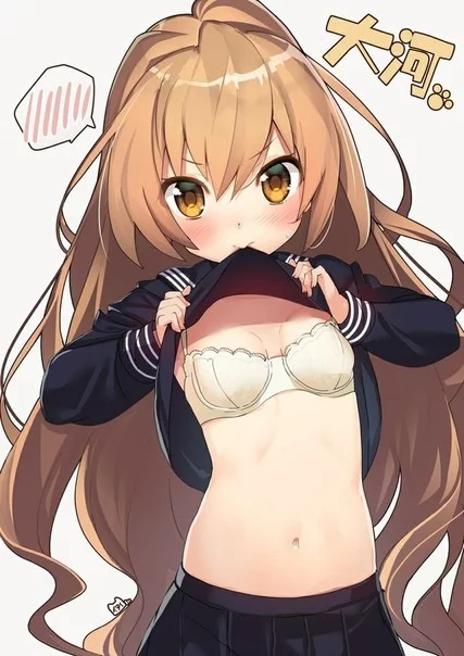 Have you achieved your goal, brother? >. < - NSFW, Anime, Art, Anime art, Loli, Toradora, Aisaka taiga, Bra, Breast