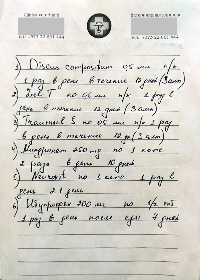 Ветеринар или коновал?! - Моё, Кокер-Спаниель, Дископатия, Ветеринар, Фуфломицин, Доказательная медицина, Собака, Длиннопост