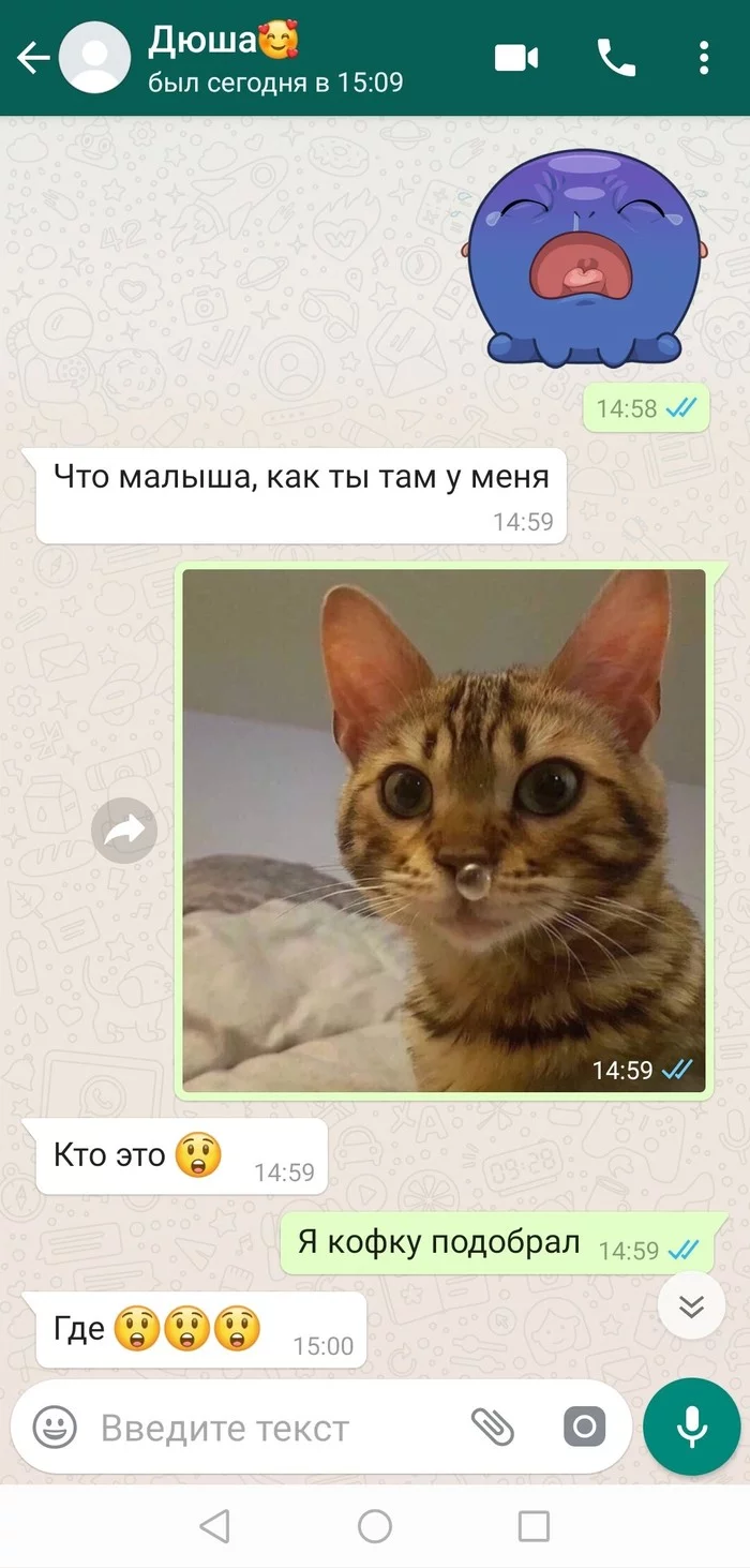 Сидела, женщина, скучала... - Моё, Любовь, Розыгрыш, Длиннопост